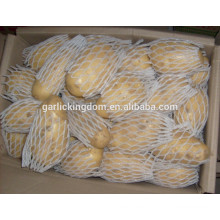 Свежий картофель / Голландский картофель / Китайский картофель (150г-250г)